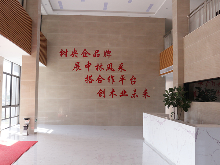 公司文化